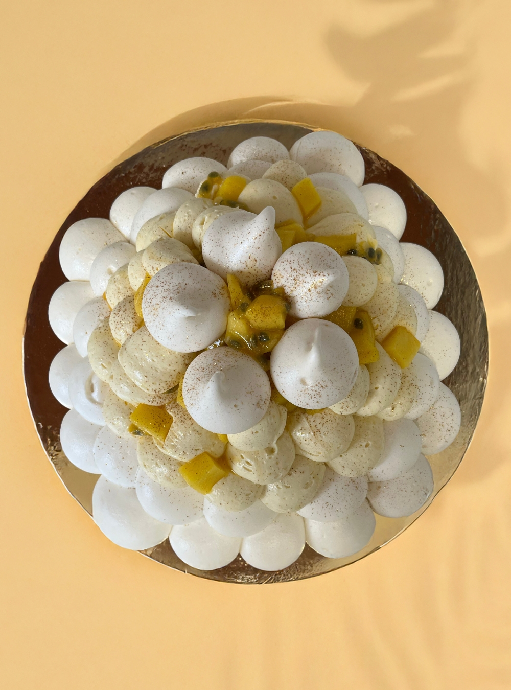 Pavlova aux Fruits Exotiques